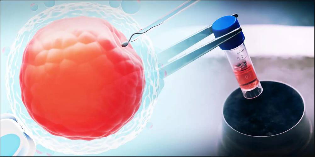 Egg Freezing In Delhi