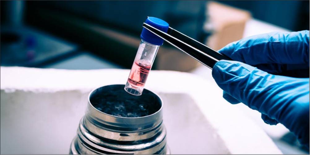Embryo Freezing In Delhi