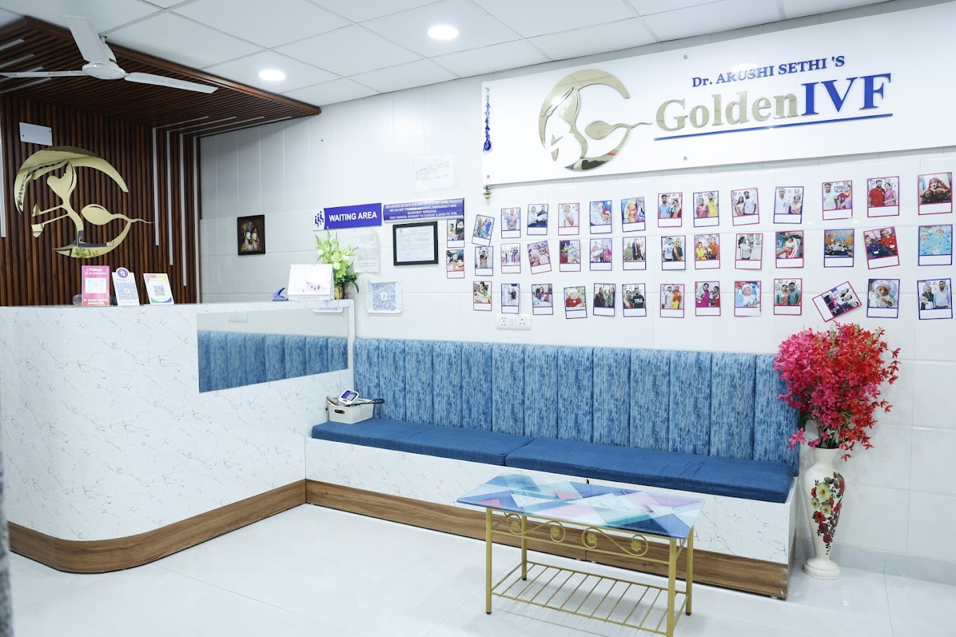 Best Gynaecologist in Rohini